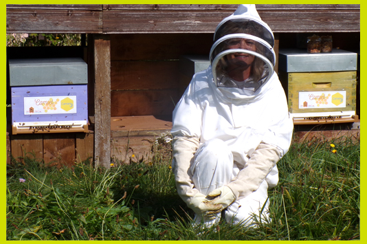 Maintenir la pollinisation